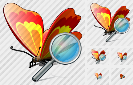 Icono Butterfly Search