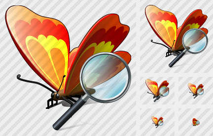Icono Butterfly Search 2