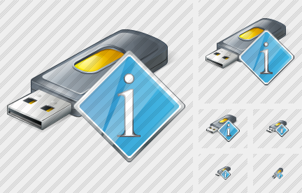 Icône Flash Drive2 Info