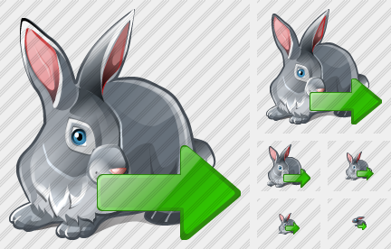 Icône Rabbit Export